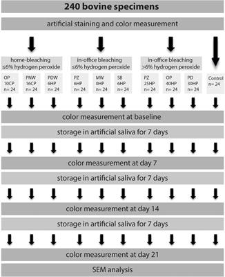 Comparison of Bleaching Products With Up to 6% and With More Than 6% Hydrogen Peroxide: Whitening Efficacy Using BI and WID and Side Effects – An in vitro Study